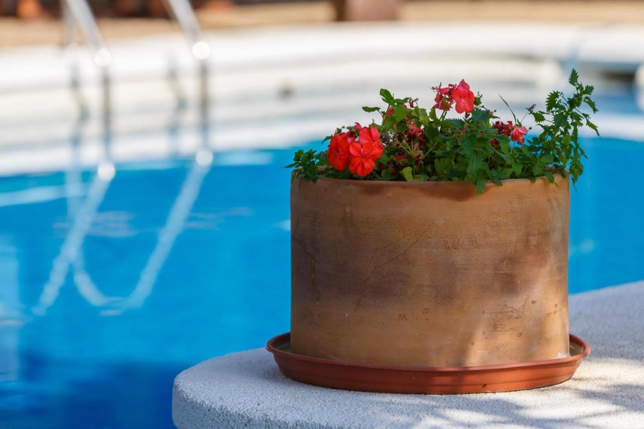 Casa Duende En Villa De Nijar Con Piscina Oda fotoğraf